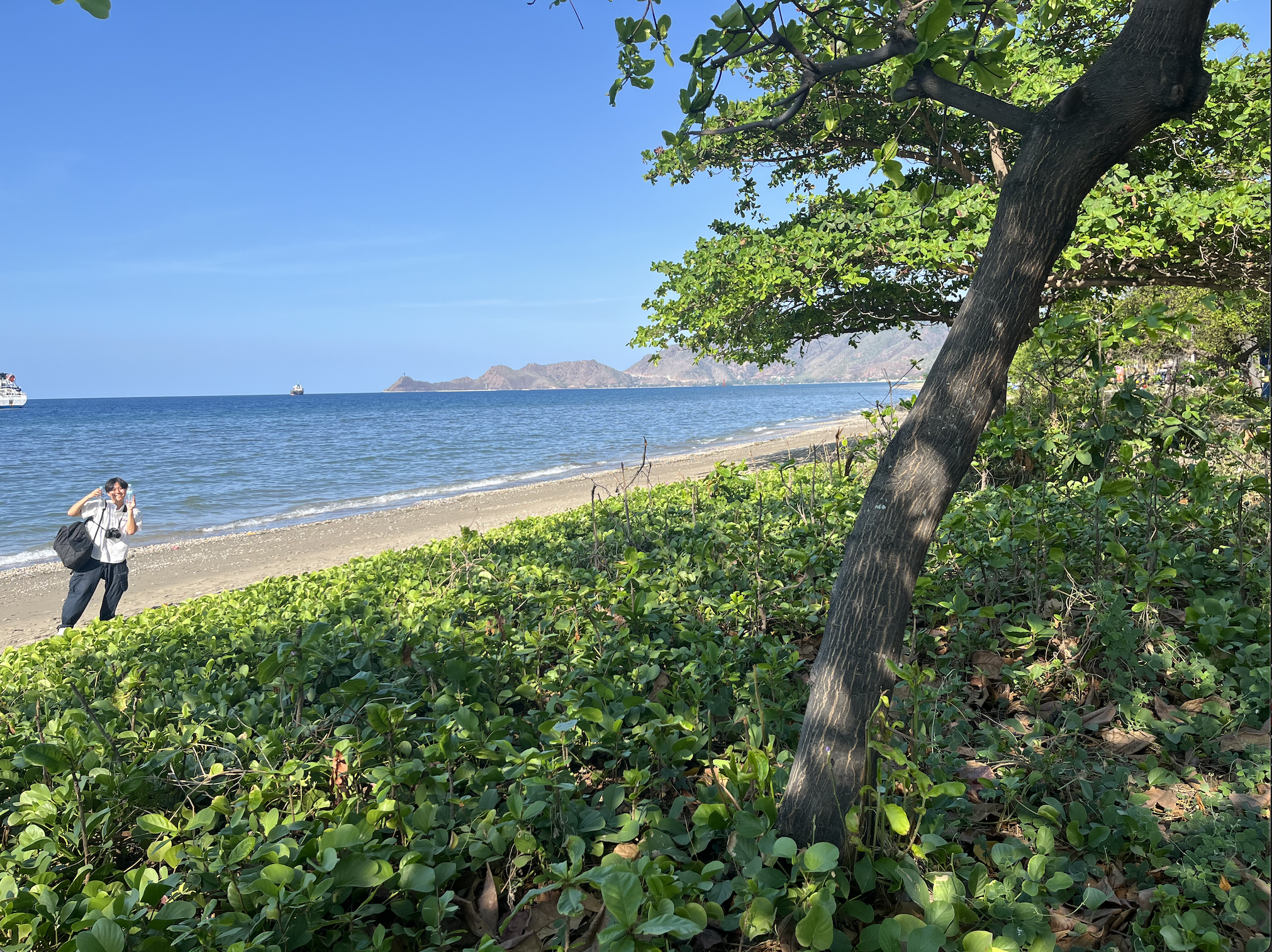 東ティモールの美しい海